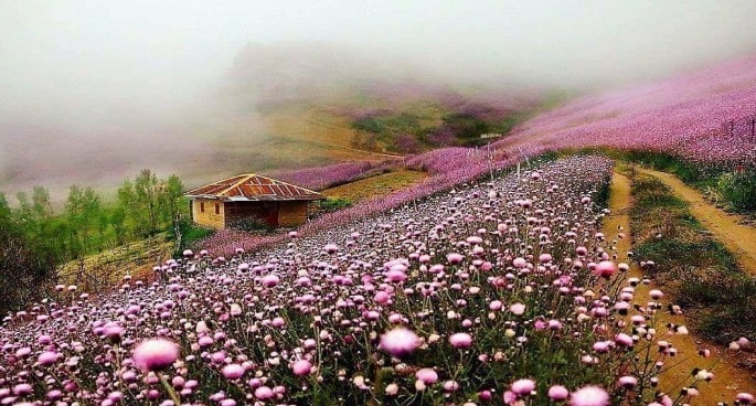 ۱۰ مورد از بهترین شهرهای ایران برای سفر در بهار
