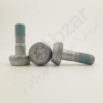 پیچ کالیپر/سیلندر ترمز پژو 206